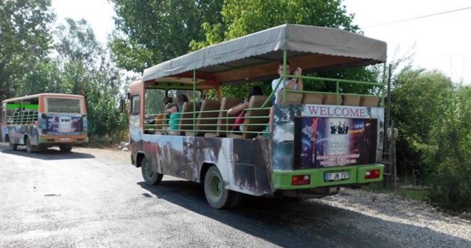 Side Cabrio Bus Safari – Nature, Culture & Adventure